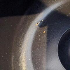 タイガー 炊飯器の画像