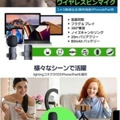 お値下げ中🉐ほぼ未使用　iPhoneピンマイク❗️の画像