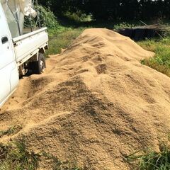籾 もみ殻 ふくろ詰めした物（1袋単位ですが複数可）の画像