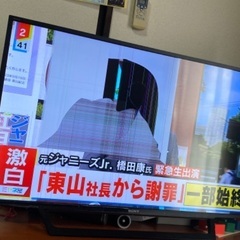 やんちゃな1歳児にやられました😂