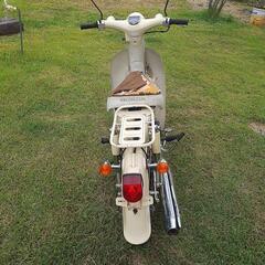 リトルガブ50です。の画像