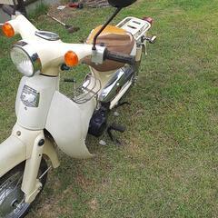 リトルガブ50です。の画像