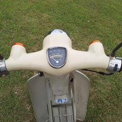 リトルガブ50です。の画像