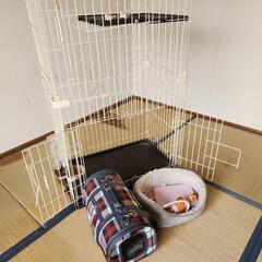 猫ケージ組み立て済、簡易消毒済
