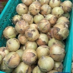 和歌山市で楽しく農業をしましょうの画像