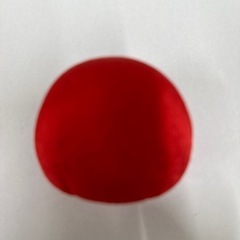 ちりめん　ダルマ　ガラスケース入りの画像