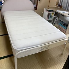 【Francfranc】ミニュイ ベッド セミダブル ピンク マ...