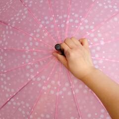 和風 雨傘1本の画像