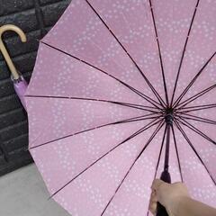 和風 雨傘1本の画像