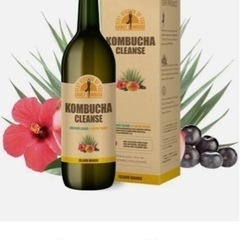 コンブチャクレンズ