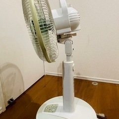  東芝(TOSHIBA) 扇風機 グラスグリーン F-LG25Xの画像