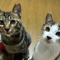 仲良し姉弟　良い子です‼︎ 