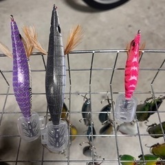 ルアー　エギ　お話し中の画像