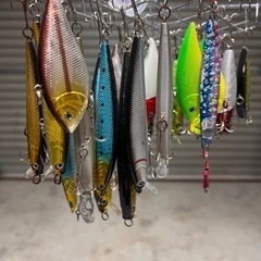 ルアー　エギ　お話し中の画像