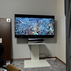 テレビ台 壁寄せテレビスタンド WALLウォール V2 ロータイプ (2020モデル) 32~60V対応 サテンホワイト EQUALS イコールズ