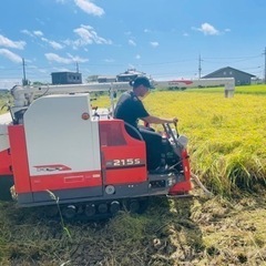 新米　令和5年度 兵庫県産  コシヒカリ🌾（玄米30㌔）