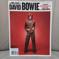 The Brilliance of DAVID BOWIE