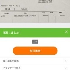 メダカ　三色ラメ幹之サファイア✨成魚２ペア
の画像