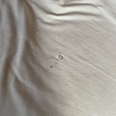 リアループ　ソファ　二人掛けの画像