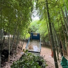 竹林の開墾手伝ってもらえませんか？ - 綾瀬市