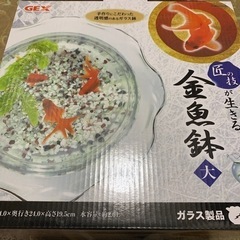 G E X金魚鉢L