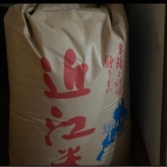 ★R4  近江米  キヌヒカリ 30㌔②★