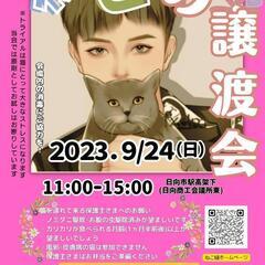 ねこ縁結びの会9月譲渡会―日向市―