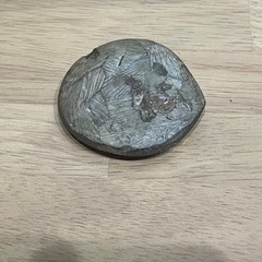 アンモナイト化石の画像