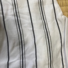 ポロシャツの画像