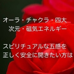自己価値を知らないと損をする・・・お婆様から受け継ぐ美貌とインテリジェンス【アデプトプログラム®️その後】の画像
