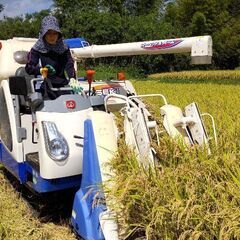 ✨連絡用✨ 令和5年産 コシヒカリ 玄米 30kg