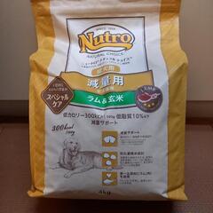 ドッグフード 4kg  (1袋)