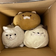 にゃもち　6匹の画像