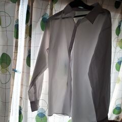 ブラウス　シャツ　19号　婦人　白の画像