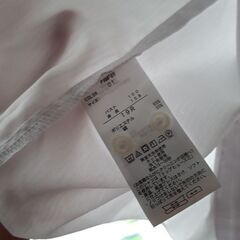 ブラウス　シャツ　19号　婦人　白の画像