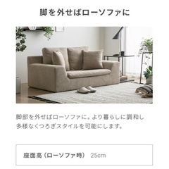 【値引中！】2人掛けローソファーの画像