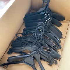 ハンガー20本の画像