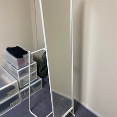 イケヤのミラの画像