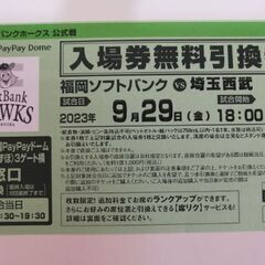 PayPayドーム野球チケット