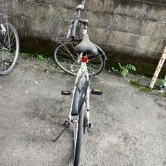 モーメンタムの画像