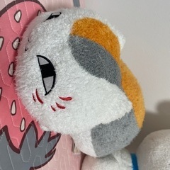 クレーンゲーム景品🌟の画像