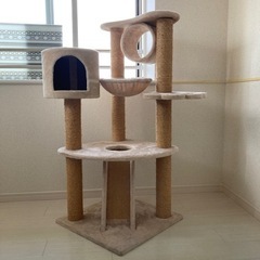 キャットタワー　取りに来てくれる方へ無料で！