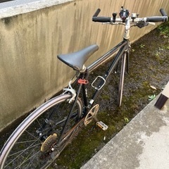 ジャイアントの画像