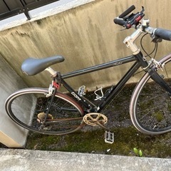 ジャイアントの画像