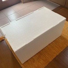 発泡スチロール　トロ箱　大　大きサイズ　KC-55.60 箱