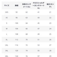 ロスマンズルノー Tシャツ Lサイズの画像