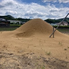 今年度の受付は終了致しました！たくさんのお引き取りありがとうござ...