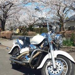 再投稿✨イントルーダー改笑の画像