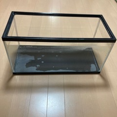 GEX 水槽　60センチ