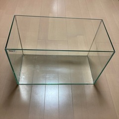 テトラ　水槽　60センチ